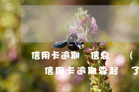 信用卡逾期來信息說報(bào)案-短信說信用卡逾期要起訴了是真的嗎