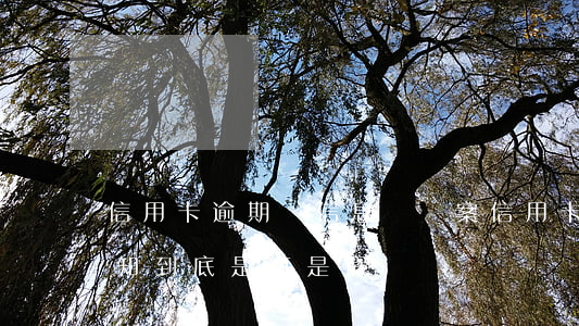 信用卡逾期來信息說報案(信用卡逾期報案通知到底是真是假)