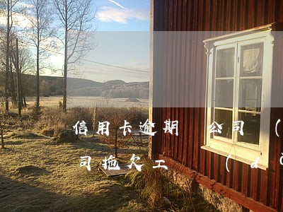 信用卡逾期來公司調(diào)查-因公司拖欠工資導(dǎo)致信用卡逾期