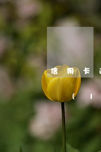 信用卡逾期來找我(為什么信用卡逾期了沒人聯(lián)系我)