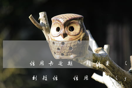 信用卡逾期來短信要報(bào)案處理 收到短信說信用卡嚴(yán)重逾期