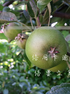 信用卡逾期來短信說要立案(欠信用卡收到短信要立案)