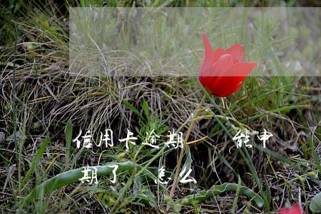 信用卡逾期來還能申請臨時額度(臨時額度逾期了會怎么樣)