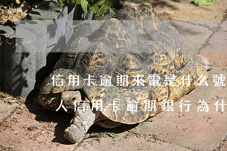 信用卡逾期來電是什么號(hào)碼(陌生人信用卡逾期銀行為什么打電話給我)
