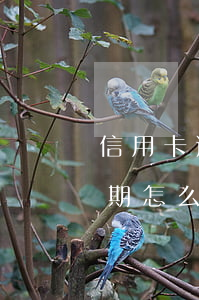 信用卡逾期保證書承諾書怎么寫(銀行還款逾期怎么寫保證書)
