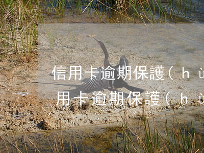 信用卡逾期保護(hù)期90天怎么算，信用卡逾期保護(hù)期：90天的計(jì)算方法解析