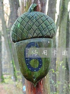 信用卡逾期保護是什么
