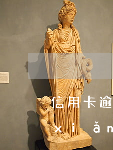 信用卡逾期保險(xiǎn)交不起(保險(xiǎn)逾期交費(fèi))