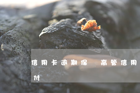 信用卡逾期保險高管(信用卡逾期保險高管賠付嗎)
