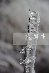 信用卡逾期信函发哪个快递(逾期会寄信吗)