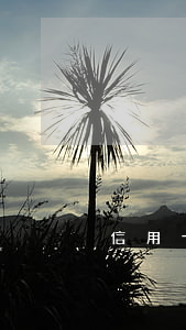 信用卡逾期信息上傳 逾期上傳征信怎么辦