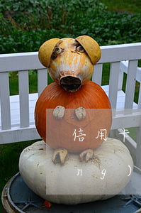 信用卡逾期信息上報(bào)-當(dāng)前逾期申請(qǐng)信用卡
