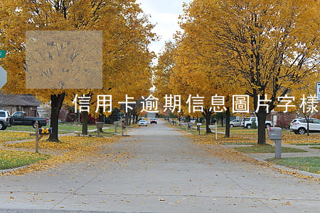 信用卡逾期信息圖片字樣