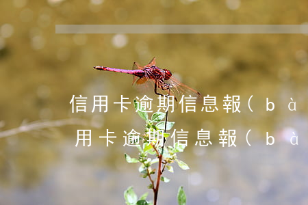 信用卡逾期信息報(bào)送人民銀行 信用卡逾期信息報(bào)送人民銀行什么意思
