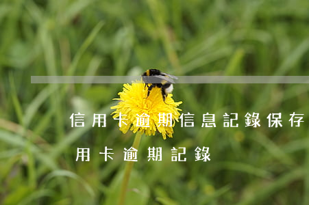 信用卡逾期信息記錄保存多久(怎么可以查信用卡逾期記錄?)