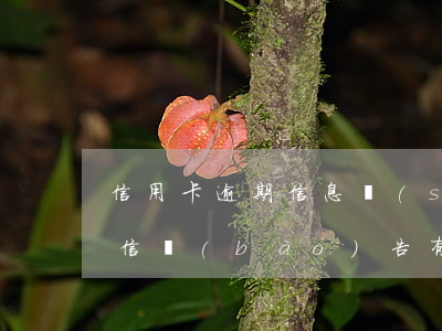 信用卡逾期信息說(shuō)上了征信(征信報(bào)告有信用卡逾期怎么辦)