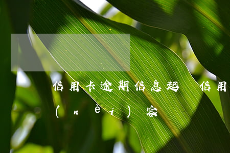 信用卡逾期信息起訴(信用卡逾期起訴短信內(nèi)容)