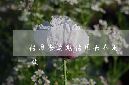 “信用卡逾期”（信用卡不是惡意逾期如何解釋有效）