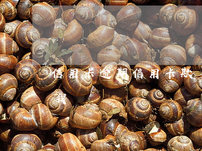 信用卡逾期信用卡欺詐罪(信用卡逾期銀行告我詐騙)