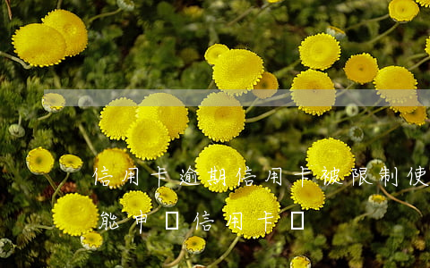 信用卡逾期信用卡被限制使用上海(有逾期不能申請信用卡嗎)