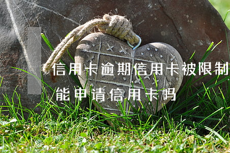信用卡逾期信用卡被限制使用上海(有逾期不能申请信用卡吗)
