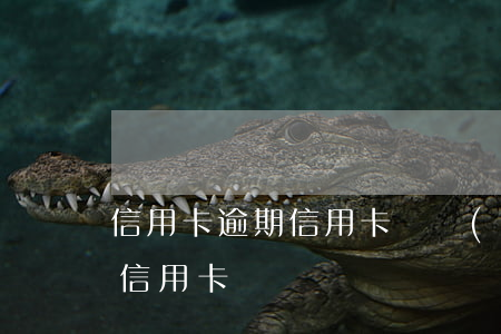 信用卡逾期信用卡貸發(fā)信息(逾期了信用卡)