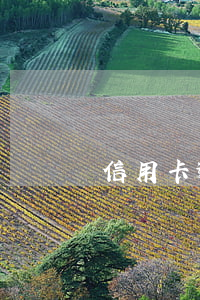 信用卡逾期（信用卡逾期后果匯總）