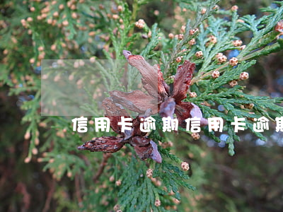 信用卡逾期（信用卡逾期的后果是什么樣的）