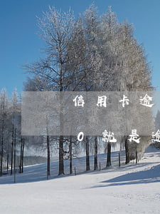 信用卡逾期信用報告顯示為0 征信報告上的0就是逾期嗎