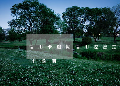 信用卡逾期信用控管是什么意思(為什么信用卡逾期)