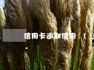 信用卡逾期信用結(jié)清證明怎么開-
