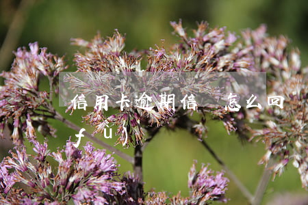信用卡逾期信譽怎么回來(信用卡逾期恢復(fù))