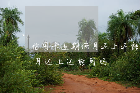 信用卡逾期俩月还上还能用吗（信用卡逾期俩月还上还能用吗）