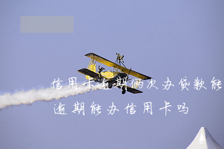 信用卡逾期俩次办贷款能下来吗(征信有两次逾期能办信用卡吗)