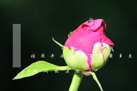信用卡逾期修复需要多久(信用卡逾期过多长时间能消除)