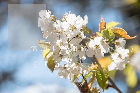 信用卡逾期修復(fù)征信 征信可以修復(fù)嗎