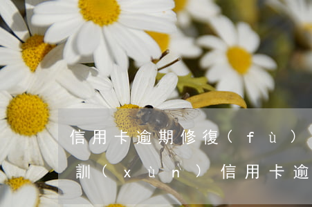信用卡逾期修復(fù)技術(shù)培訓(xùn)(信用卡逾期修復(fù)技術(shù)培訓(xùn))