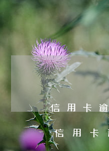 信用卡逾期修復(fù)是不是真的(不小心信用卡逾期)