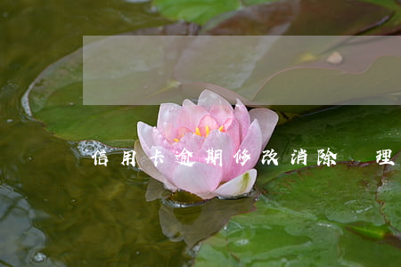 信用卡逾期修改消除 處理逾期信用卡