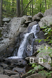 信用卡逾期修改賬單日屬犯法嗎-改信用卡賬單日,可以延期還款嗎