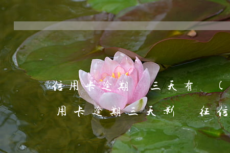 信用卡逾期倆三天有沒(méi)有事(還信用卡逾期三天影響征信嗎)