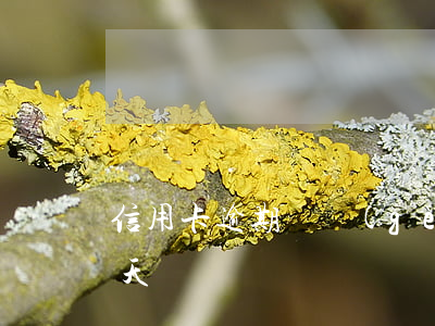 信用卡逾期倆個(gè)多月(信用卡逾期2天)