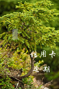 信用卡逾期倆個月還不上怎么辦 信用卡2千逾期沒還