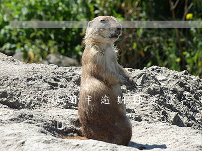 信用卡逾期倆分鐘(信用卡逾期倆分鐘算逾期嗎)