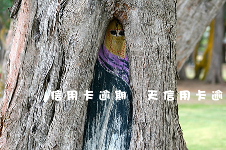 信用卡逾期倆天(信用卡逾期倆天怎么辦)