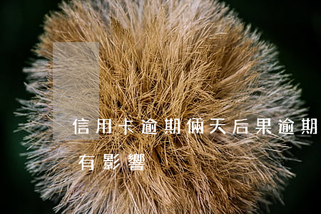 信用卡逾期倆天后果(逾期兩天還信用卡有沒有影響)