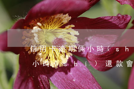 信用卡逾期倆小時(shí)(信用卡逾期倆小時(shí)還款會上征信嗎?)