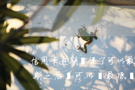 信用卡逾期倆年了可以最低還款嗎(信用卡逾期之后還可以還最低嗎)