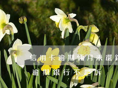 信用卡逾期倆月未還銀行起訴(為什么信用卡逾期銀行不起訴)