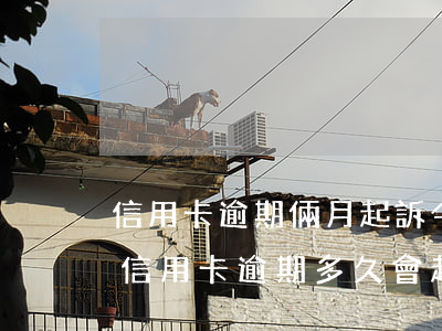 信用卡逾期倆月起訴(今年新規(guī)定信用卡逾期多久會起訴)